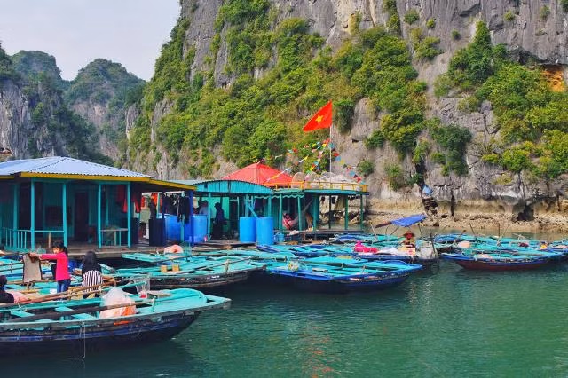 Chèo thuyền kayak giữa di sản thế giới Vịnh Hạ Long ảnh 5