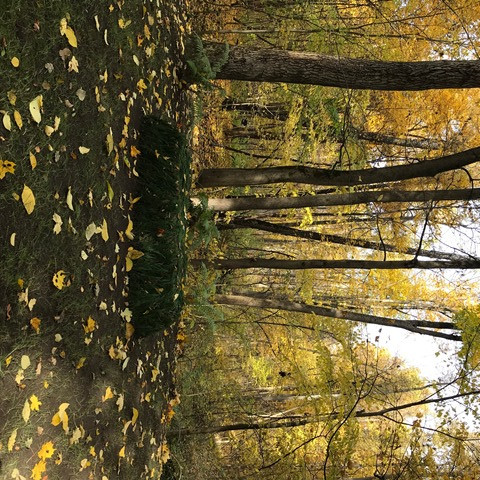 Thăm Tula, quê hương Đại văn hào Lev Tolstoy ảnh 5