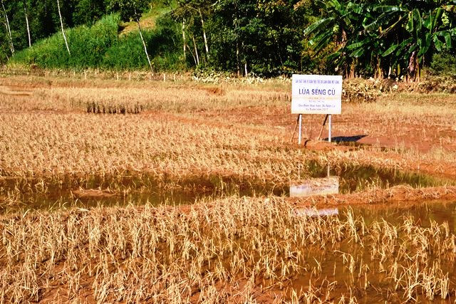 Nước đã rút, đường đã thông ở “lòng chảo” xã Nấm Lư ảnh 1