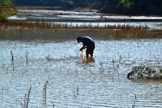 Nước đã rút, đường đã thông ở “lòng chảo” xã Nấm Lư ảnh 2