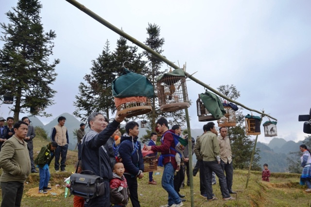 Đầu xuân, người Mông mở hội Gầu Tào ảnh 8