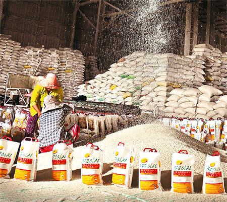 Xây dựng giá trị thương hiệu hạt gạo Việt Nam (Tiếp theo và hết) (*) ảnh 1