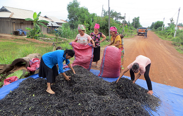 Ðác Lắc bố trí, sắp xếp chỗ ở ổn định cho gần 3.000 hộ dân di cư tự do ảnh 1 Ðác Lắc bố trí, sắp xếp chỗ ở ổn định cho gần 3.000 hộ dân di cư tự do ảnh 1