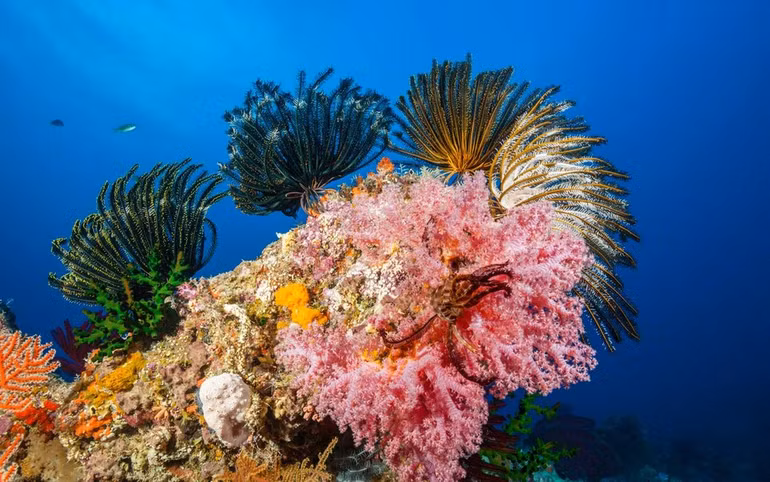 Những nơi rực rỡ nhất hành tinh ảnh 7