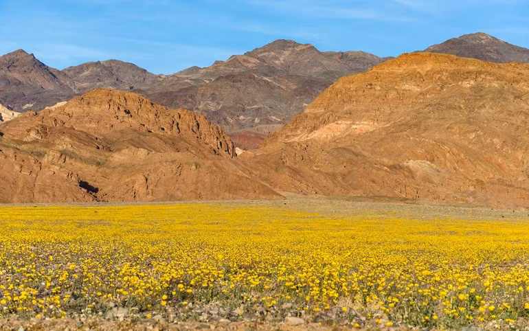 Những nơi rực rỡ nhất hành tinh ảnh 20