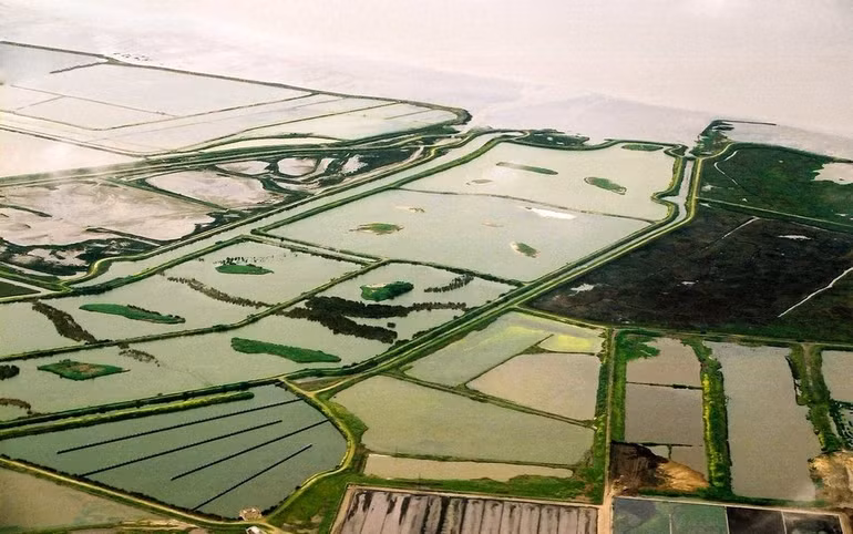 Những nơi rực rỡ nhất hành tinh ảnh 18