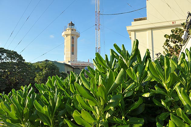 Hải đăng ở Trường Sa ảnh 10