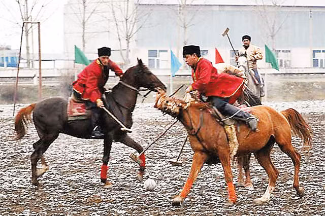 Ngựa Karabakh- một biểu tượng của Azerbaijan ảnh 1