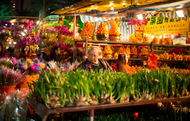 Không khí rộn ràng đón Tết Đinh Dậu trên thế giới ảnh 5