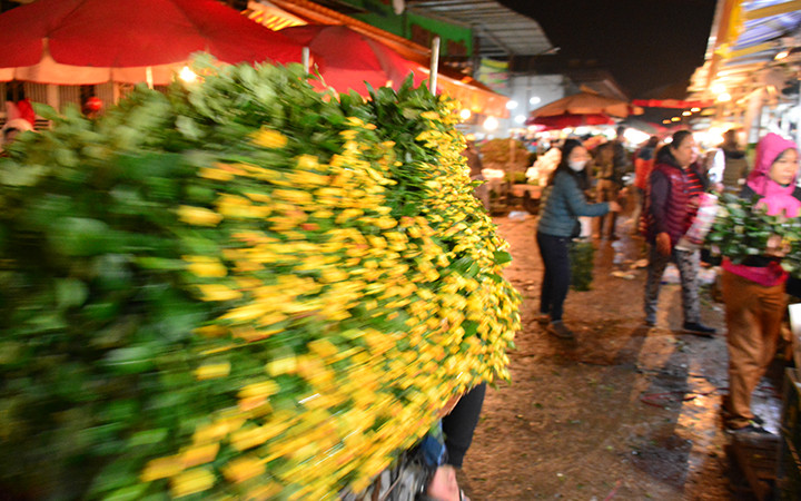 Nhộn nhịp chợ hoa đêm Quảng Bá ảnh 2