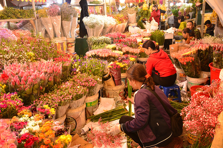 Nhộn nhịp chợ hoa đêm Quảng Bá ảnh 10