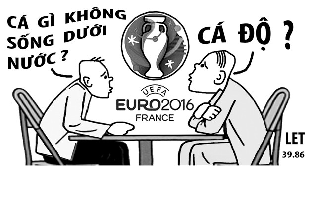 EURO… EURO 2016… ảnh 3