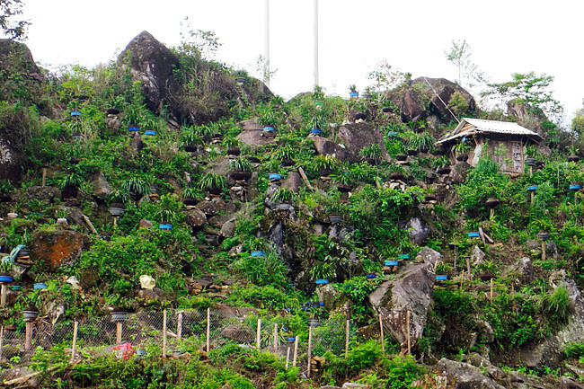 Một lần tới Tả Phìn - Sa Pa ảnh 8