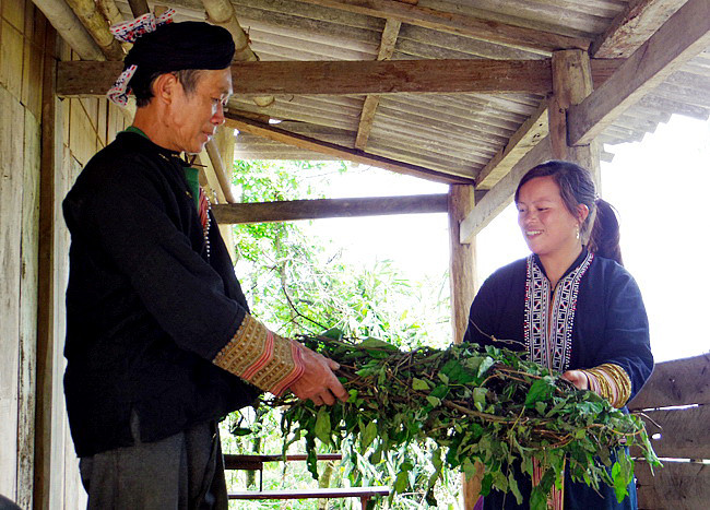 Một lần tới Tả Phìn - Sa Pa ảnh 4