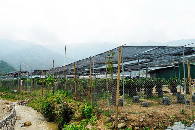 Một lần tới Tả Phìn - Sa Pa ảnh 6