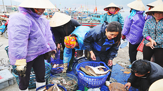 Nắng sớm trên biển Lộc Hà ảnh 5