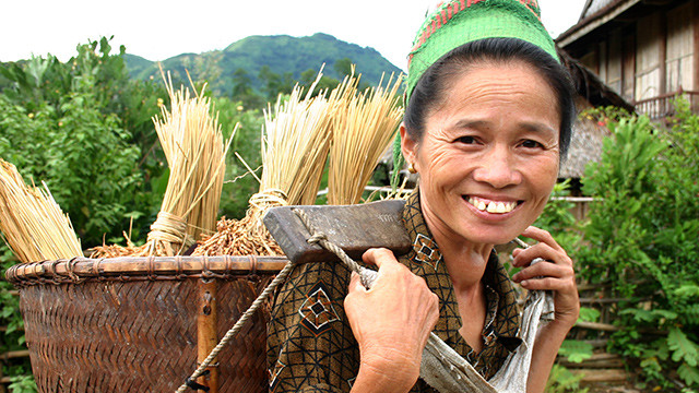 Dưới tán rừng săng lẻ ảnh 3