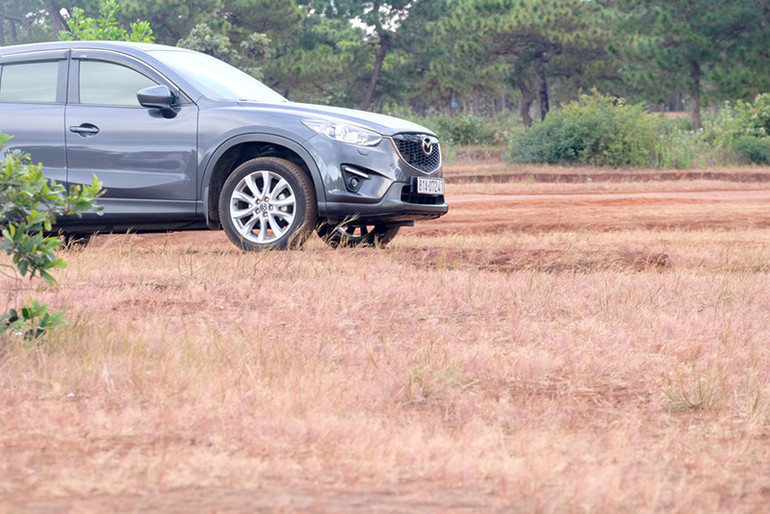 Dạo chơi trên đồi cỏ hồng ở Gia Lai ảnh 10