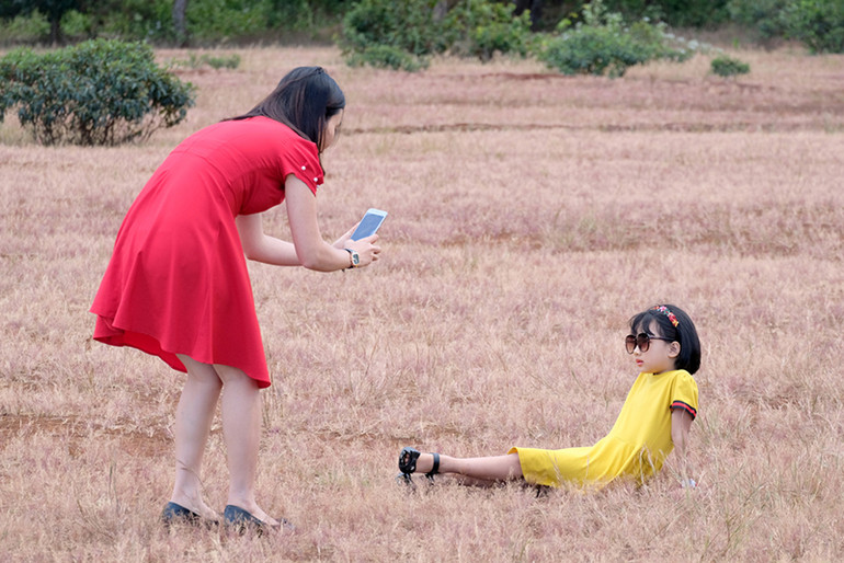 Dạo chơi trên đồi cỏ hồng ở Gia Lai ảnh 11