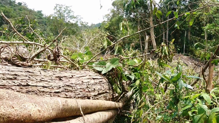 Khai thác quặng trái phép trong Khu vực phòng thủ quân sự ảnh 4