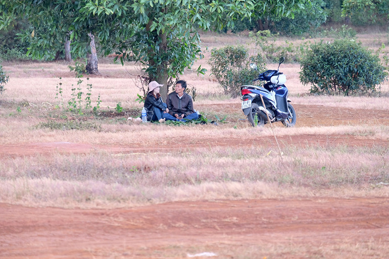 Dạo chơi trên đồi cỏ hồng ở Gia Lai ảnh 9