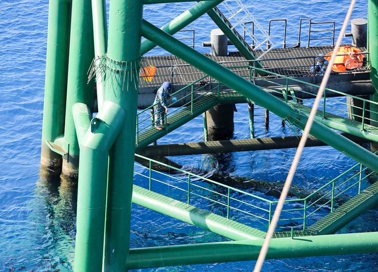 Nhà giàn DK1 - cột mốc chủ quyền trên vùng biển phía nam ảnh 16