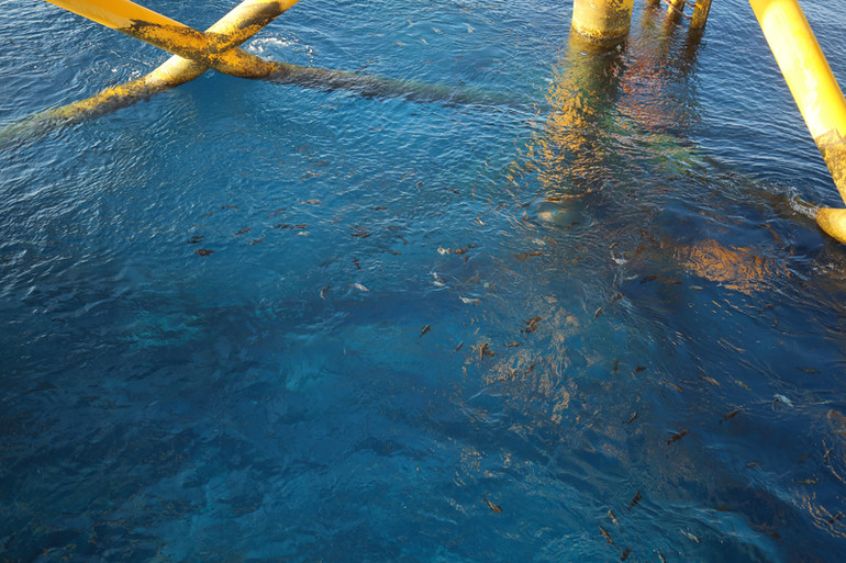 Nhà giàn DK1 - cột mốc chủ quyền trên vùng biển phía nam ảnh 15