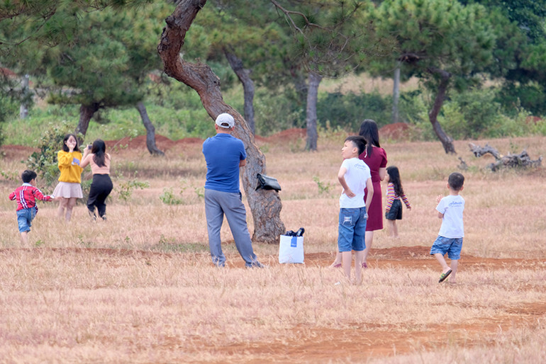 Dạo chơi trên đồi cỏ hồng ở Gia Lai ảnh 8