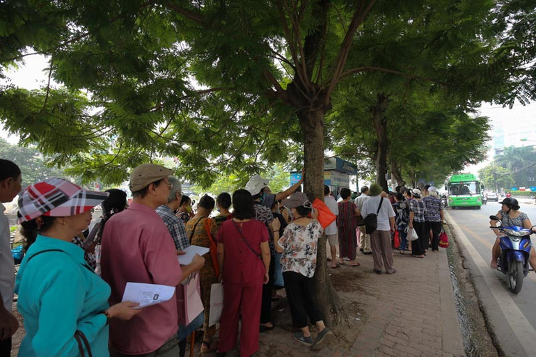 Hà Nội: Hàng trăm người cao tuổi xếp hàng làm thẻ xe buýt miễn phí ảnh 2