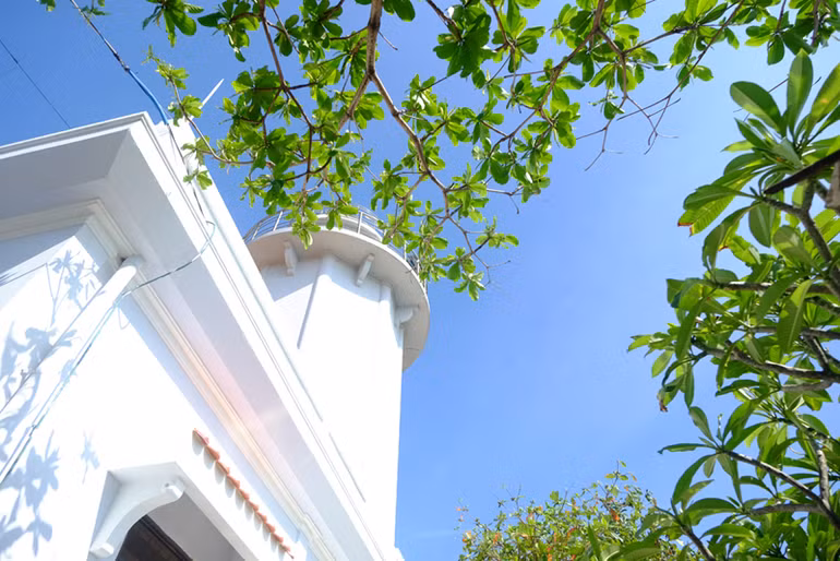 Thăm hải đăng trắng Hòn Chút trên đảo tôm hùm Bình Hưng ảnh 3