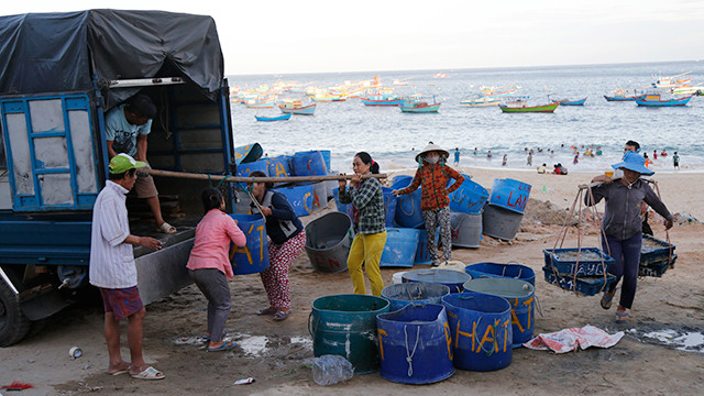 Mùa cá cơm mồm ảnh 6