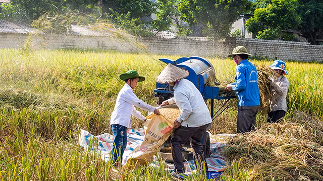 Rộn rã Mường Tấc ảnh 2