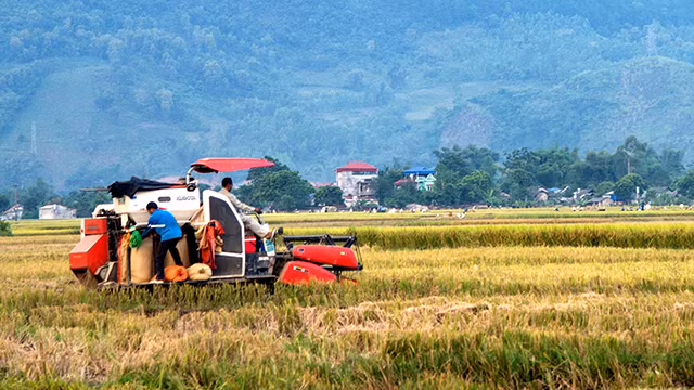 Rộn rã Mường Tấc ảnh 3