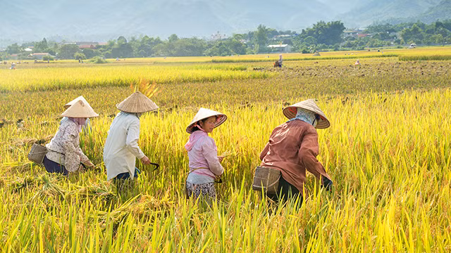 Rộn rã Mường Tấc ảnh 4