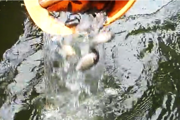 Xe ben đâm xe khách, một người tử vong, 19 người bị thương nặng ảnh 3