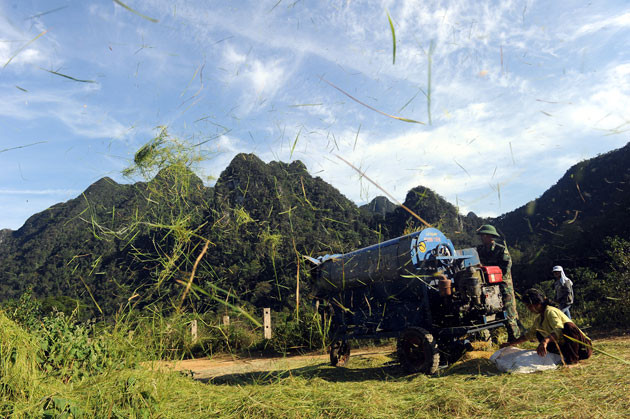 Đồng bào Rục vui mùa lúa mới ảnh 4 Đồng bào Rục vui mùa lúa mới ảnh 4