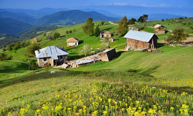 Mùa xuân, hoa dại nở khắp châu Âu… ảnh 8