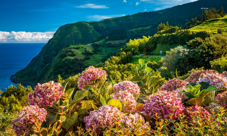 Mùa xuân, hoa dại nở khắp châu Âu… ảnh 9