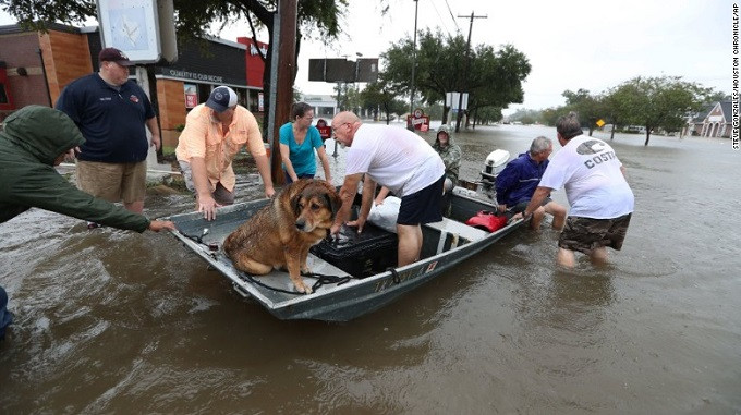 Lũ lụt nghiêm trọng tại Mỹ sau bão Harvey ảnh 7