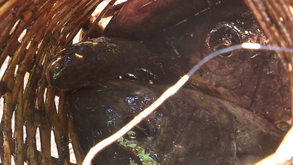 Niềm vui đến trường qua những bức ảnh ảnh 9