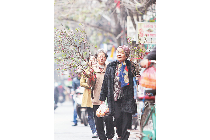 Xuân trong phố cổ ảnh 4 Xuân trong phố cổ ảnh 4