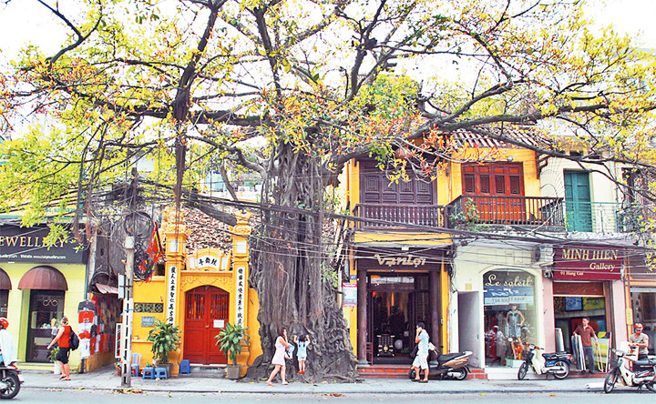 Xuân trong phố cổ ảnh 5 Xuân trong phố cổ ảnh 5