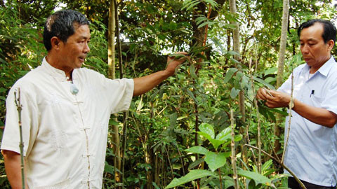 Hạnh phúc là chữa bệnh cứu người ảnh 1