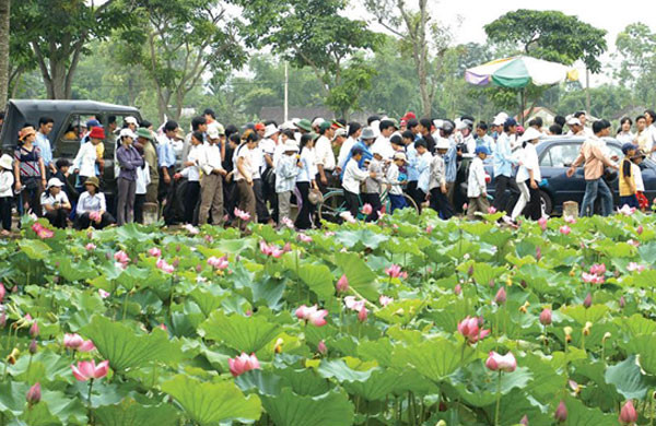 Để quê Bác sớm trở thành trung tâm du lịch của cả nước ảnh 3