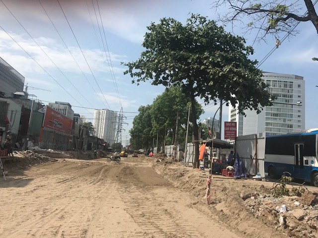 Bí thư Thành ủy Hà Nội Hoàng Trung Hải: "Giữ được một cây cũng quý” ảnh 3