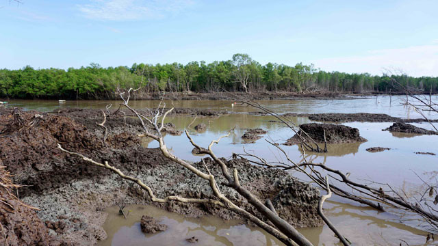 Xử lý sạt lở đồng bộ vùng đồng bằng sông Cửu Long ảnh 3