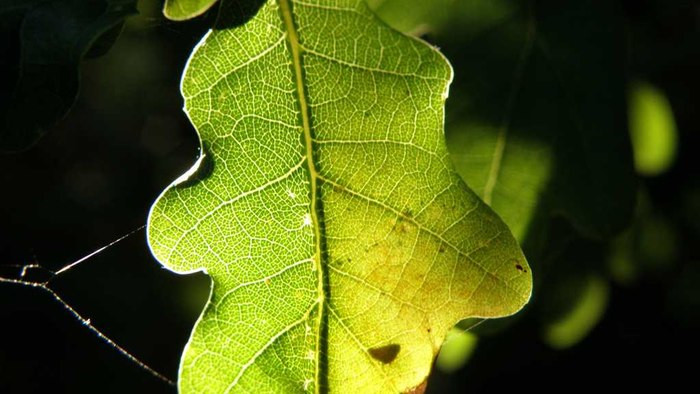 Sáu công nghệ chế tạo pin thế hệ mới ảnh 1