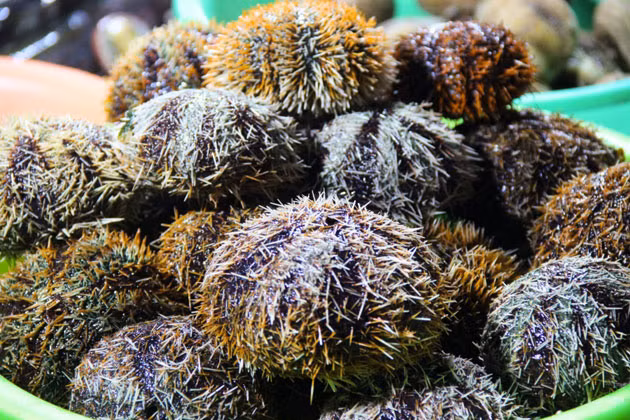 Hấp dẫn “chợ đêm” Lý Sơn ảnh 3 Hấp dẫn “chợ đêm” Lý Sơn ảnh 3