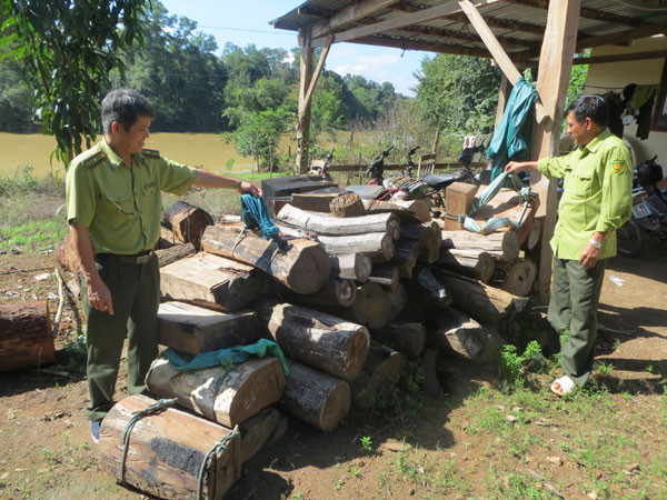 Áp lực giữ rừng Yóc Đôn mùa lá rụng ảnh 2