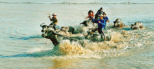 Phim Việt ngày càng mờ nhạt dấu ấn văn hóa ảnh 1